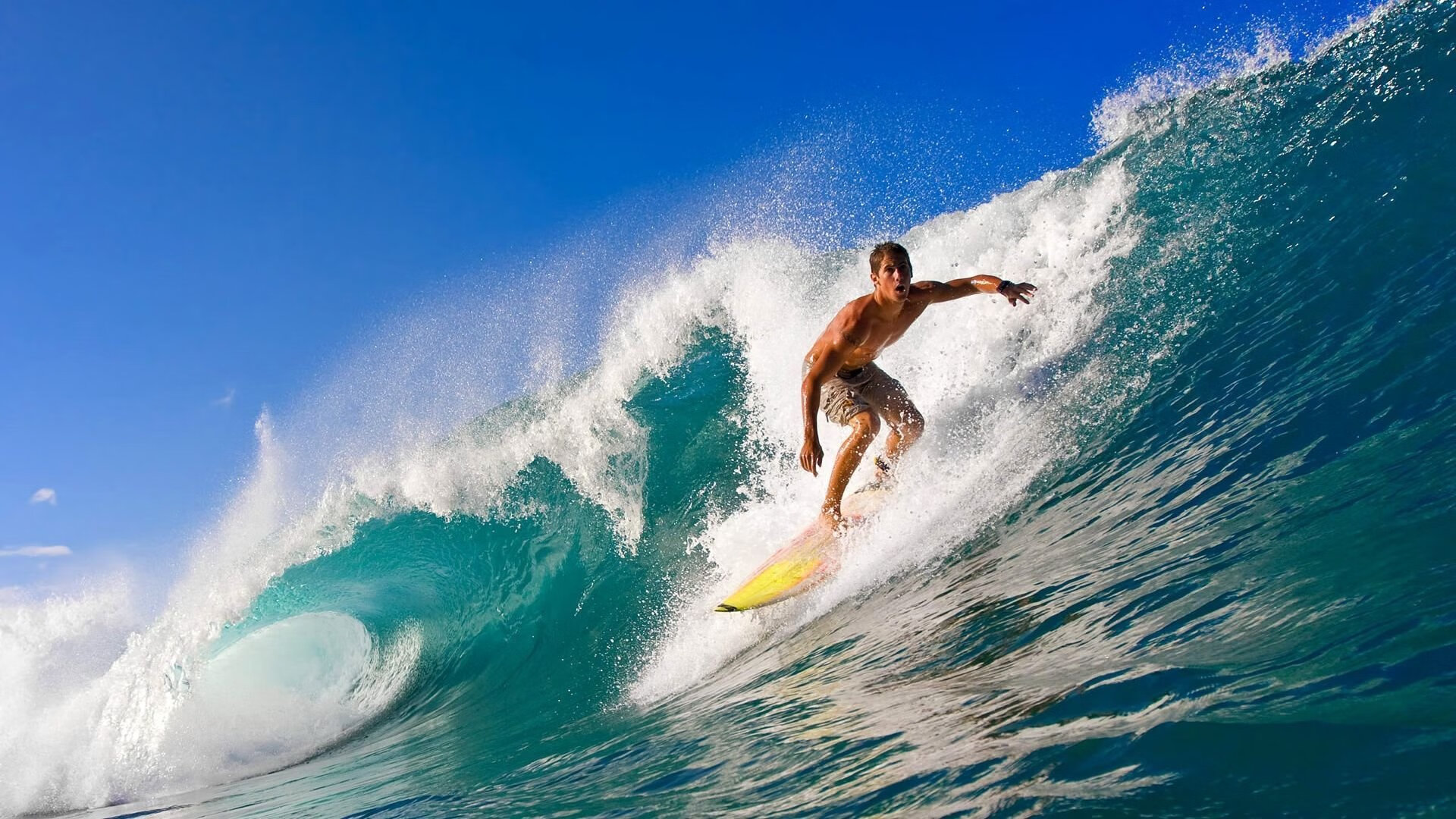 _极限飞盘:突破传统,创新玩法_,极限飞盘的基本技术动作